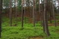 IMG-20190522-WA0030