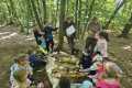 IMG-20260519-WA0010