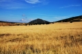 IMG-20260915-WA0015