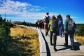 IMG-20260915-WA0016