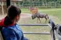 IMG-20260926-WA0000