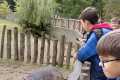 IMG-20260926-WA0001