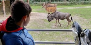 IMG-20260926-WA0000
